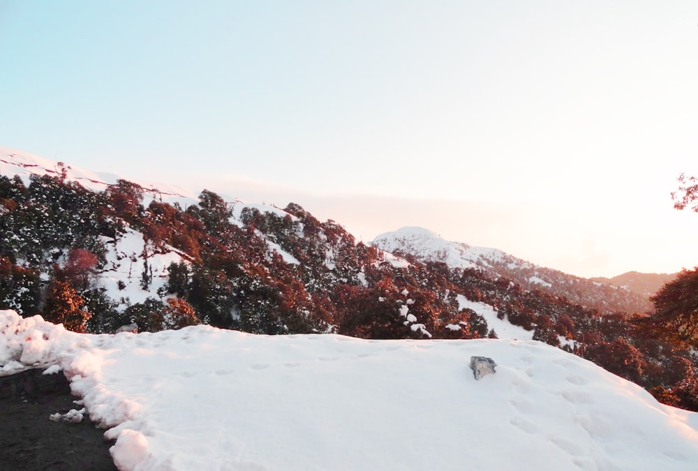 snow covered mountain during daytime