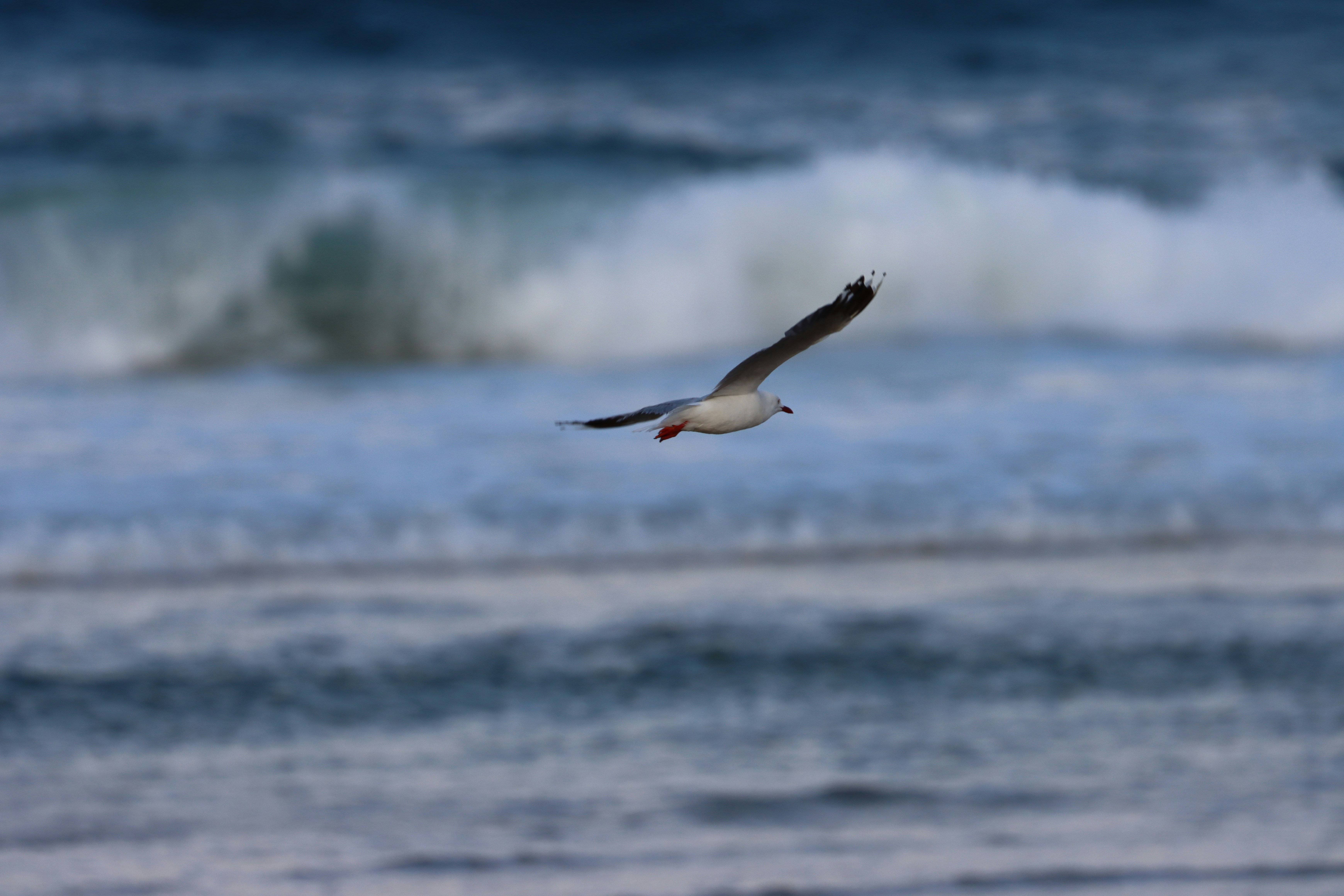 Photo by barneyrubble