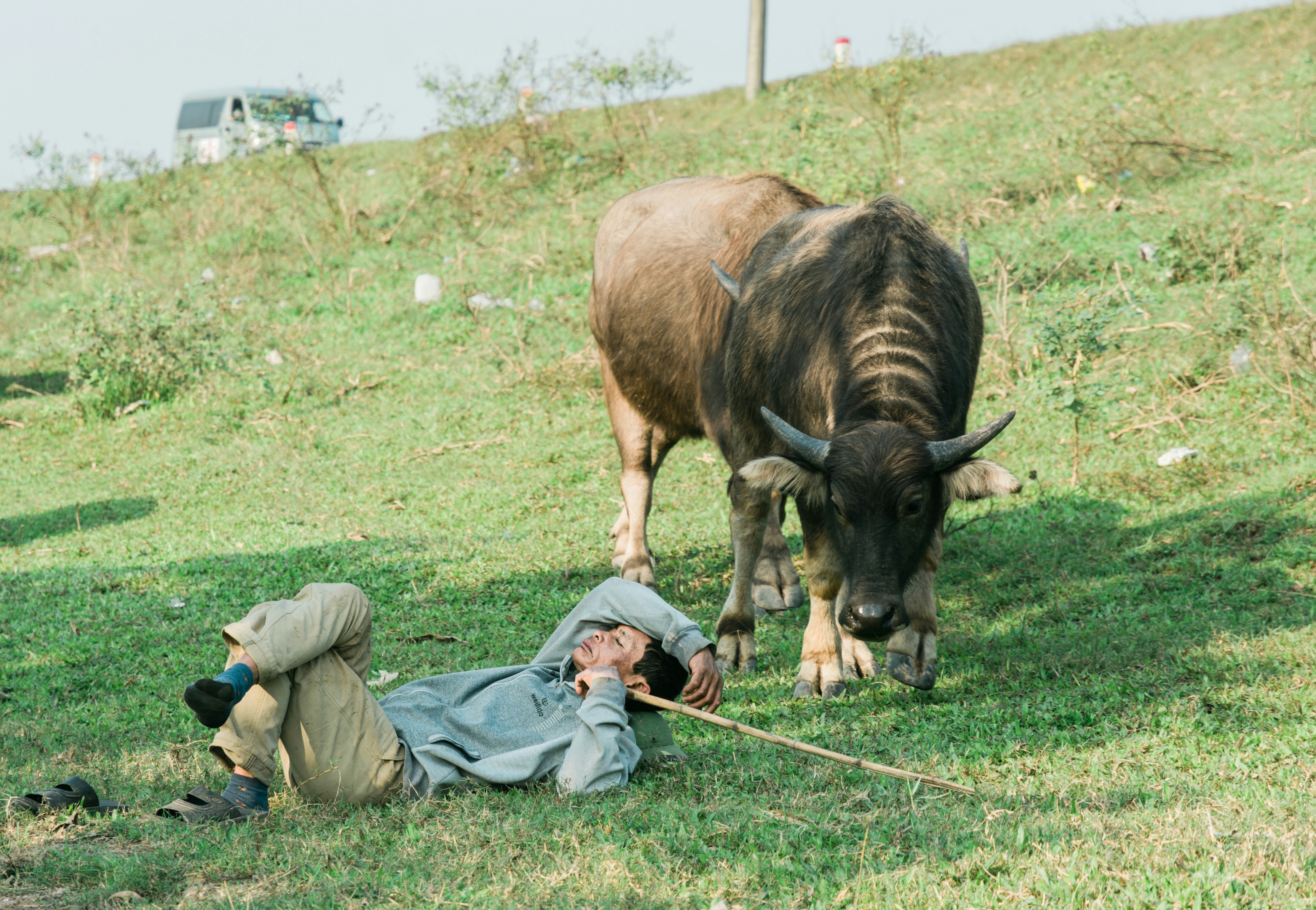 man in blue denim jeans and brown leather boots sitting on green grass field during daytime