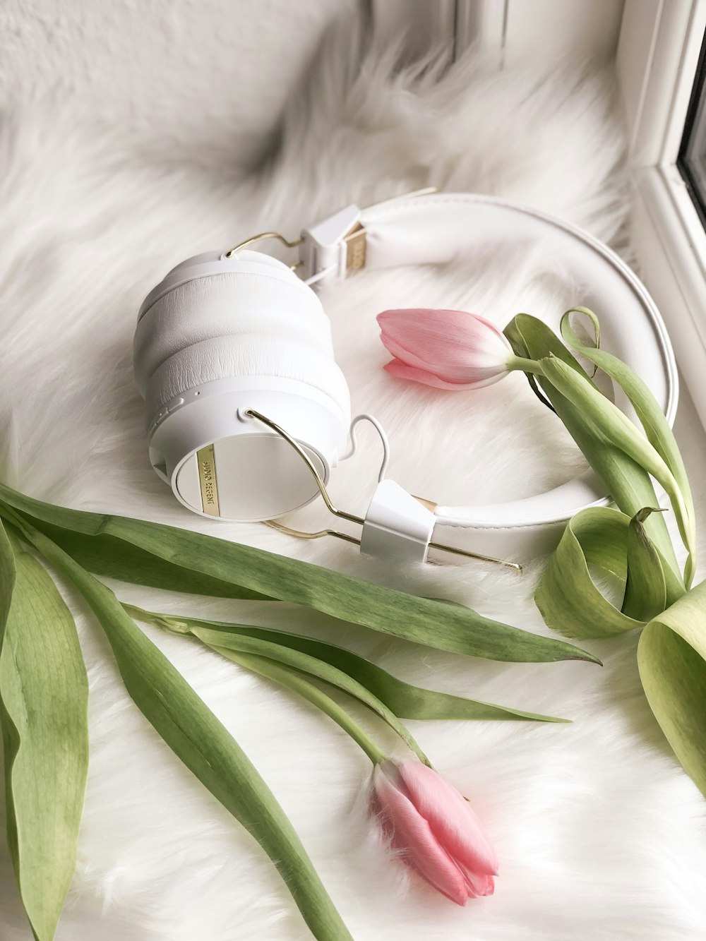 white tulips on white textile