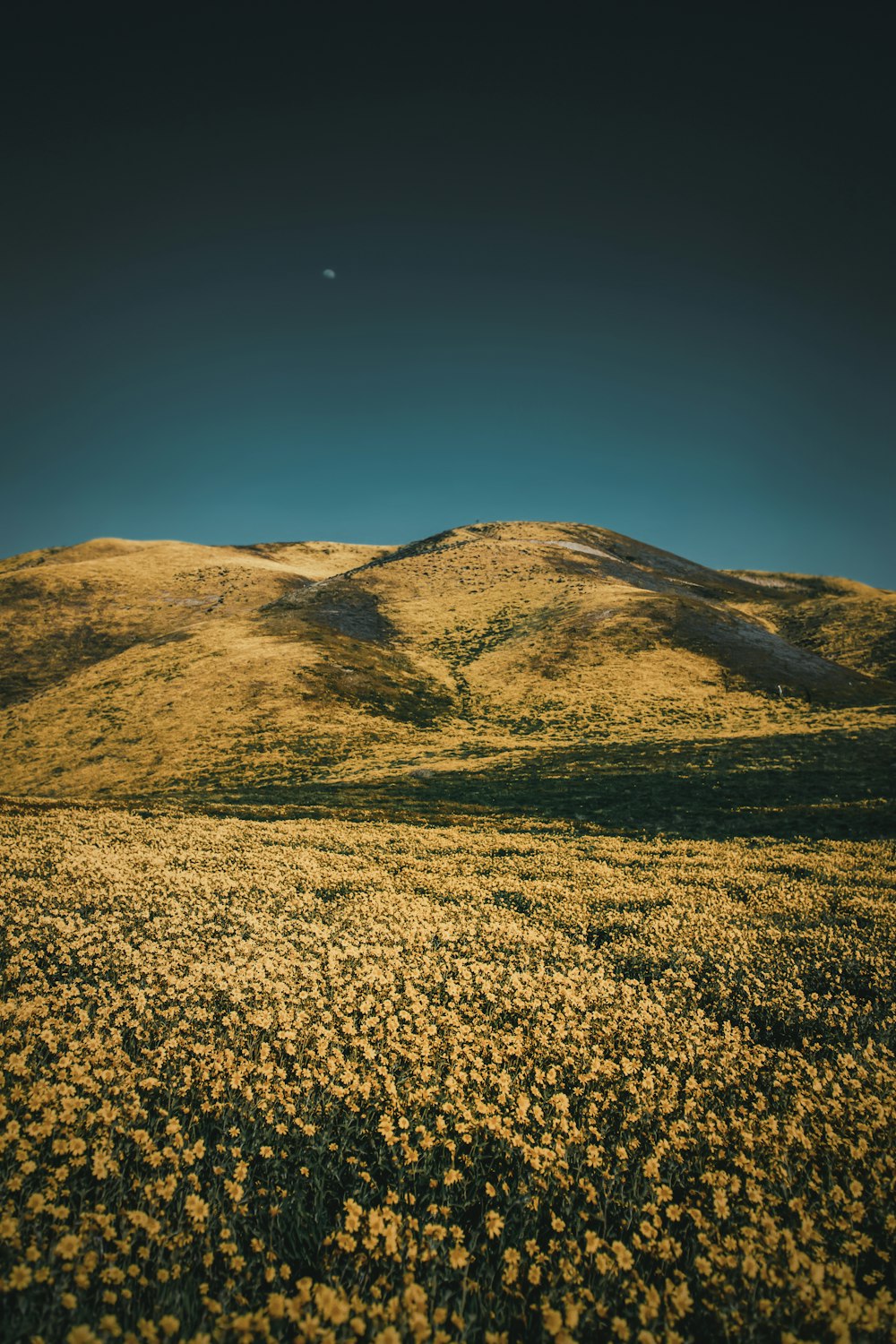 brown grass field near mountain under blue sky during daytime