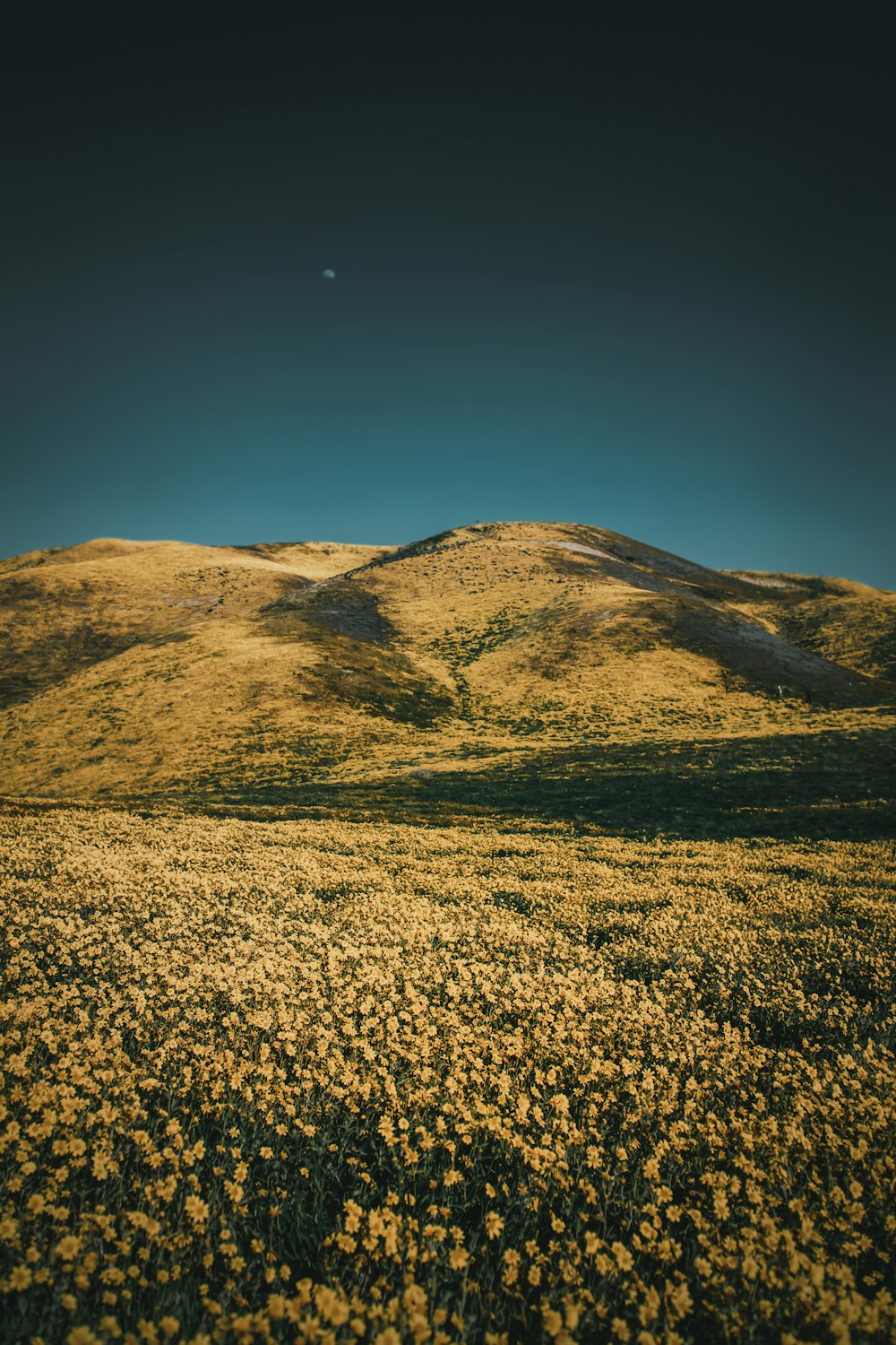 campo di erba marrone vicino alla montagna sotto il cielo blu durante il giorno
