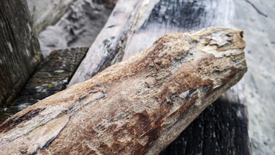 A close-up of a weathered heart-shaped piece of driftwood on the sand.