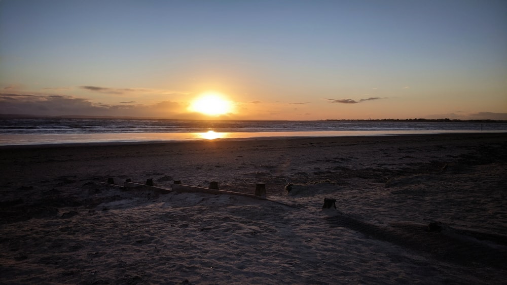 silhouette of people on beach during sunset