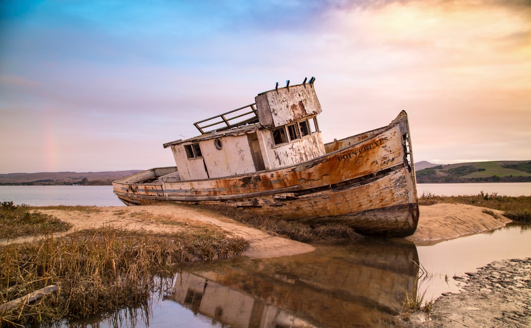 brown and white ship on body of water during daytime