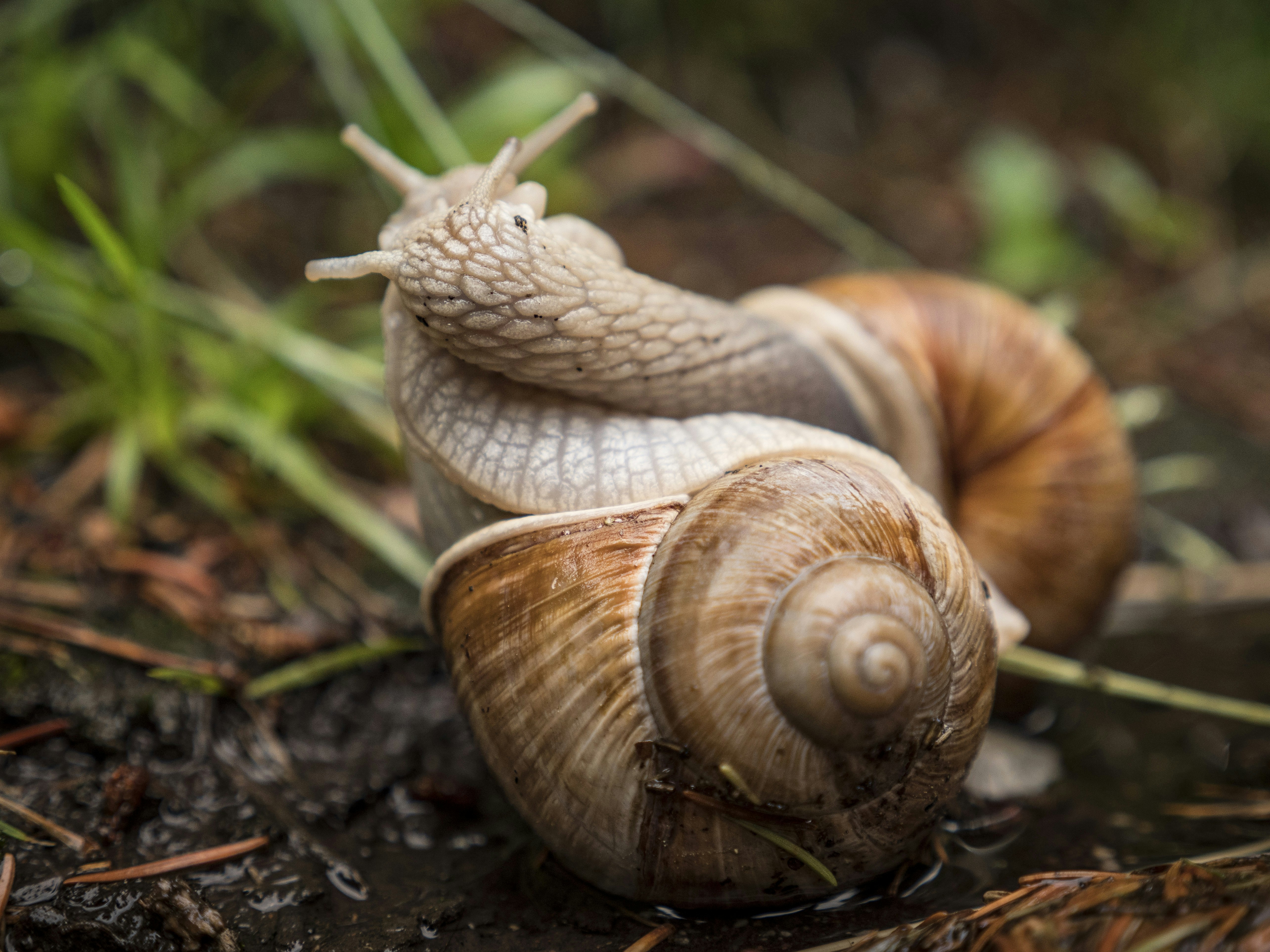 Photo by leo_visions_