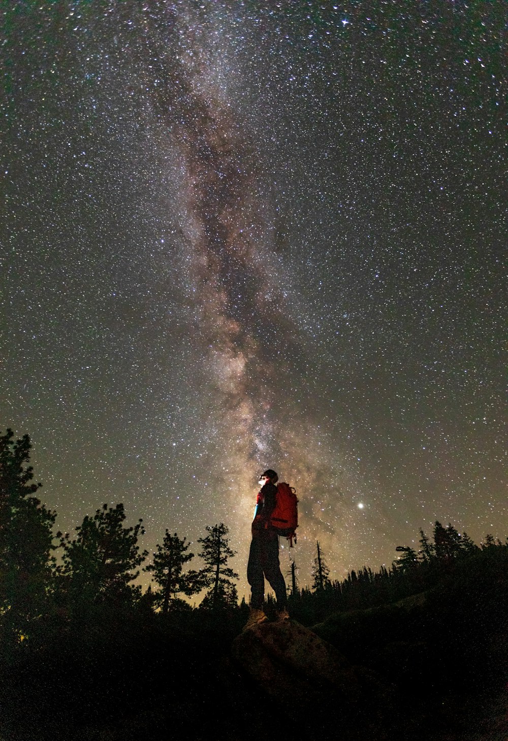 man standing on tree branch under starry night