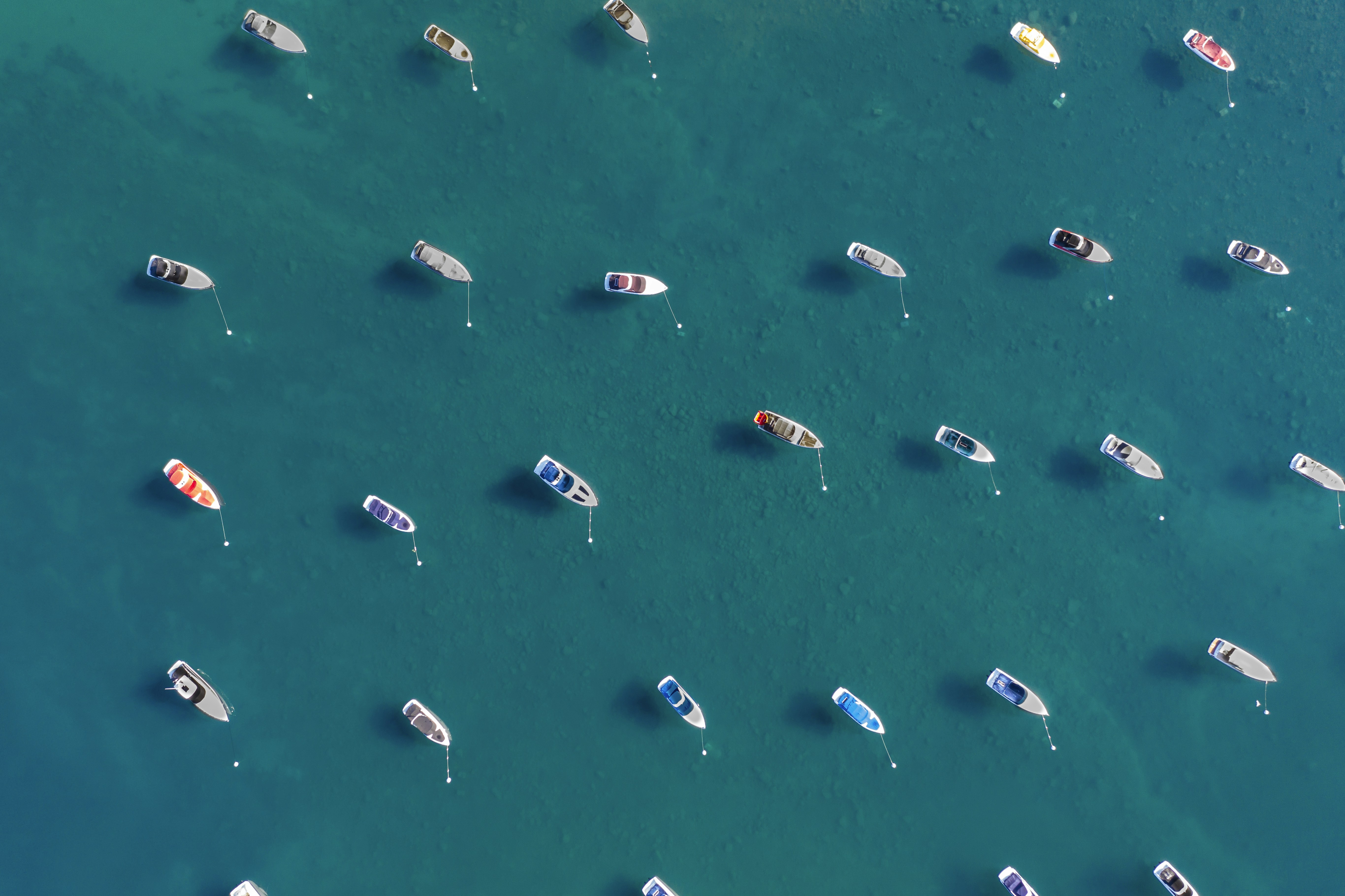 Photo by leo_visions_