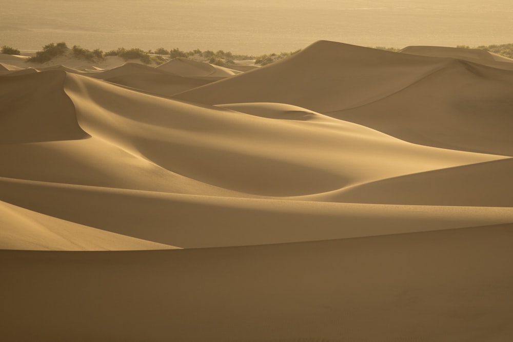 desert under white sky during daytime