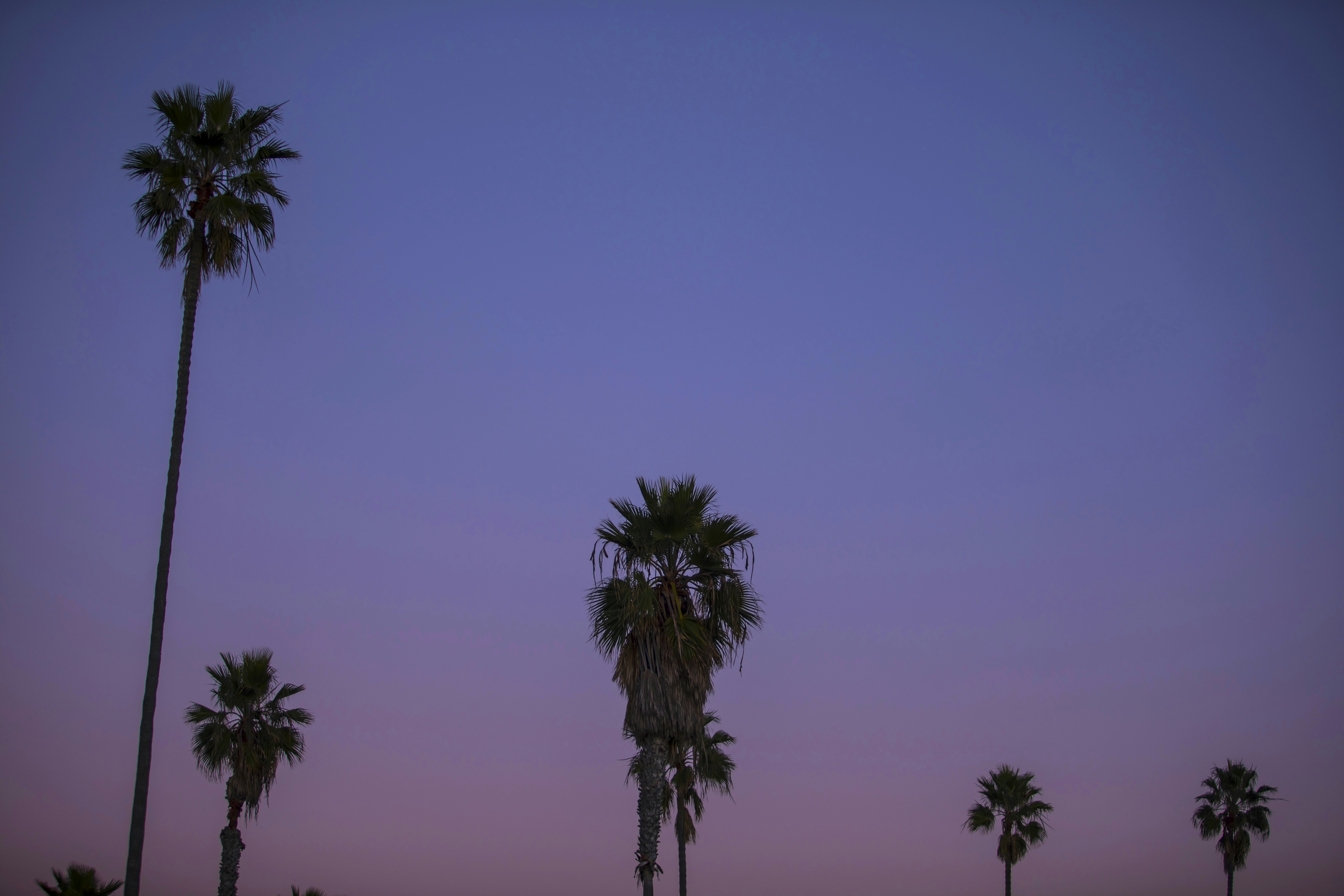 Photo by leo_visions_