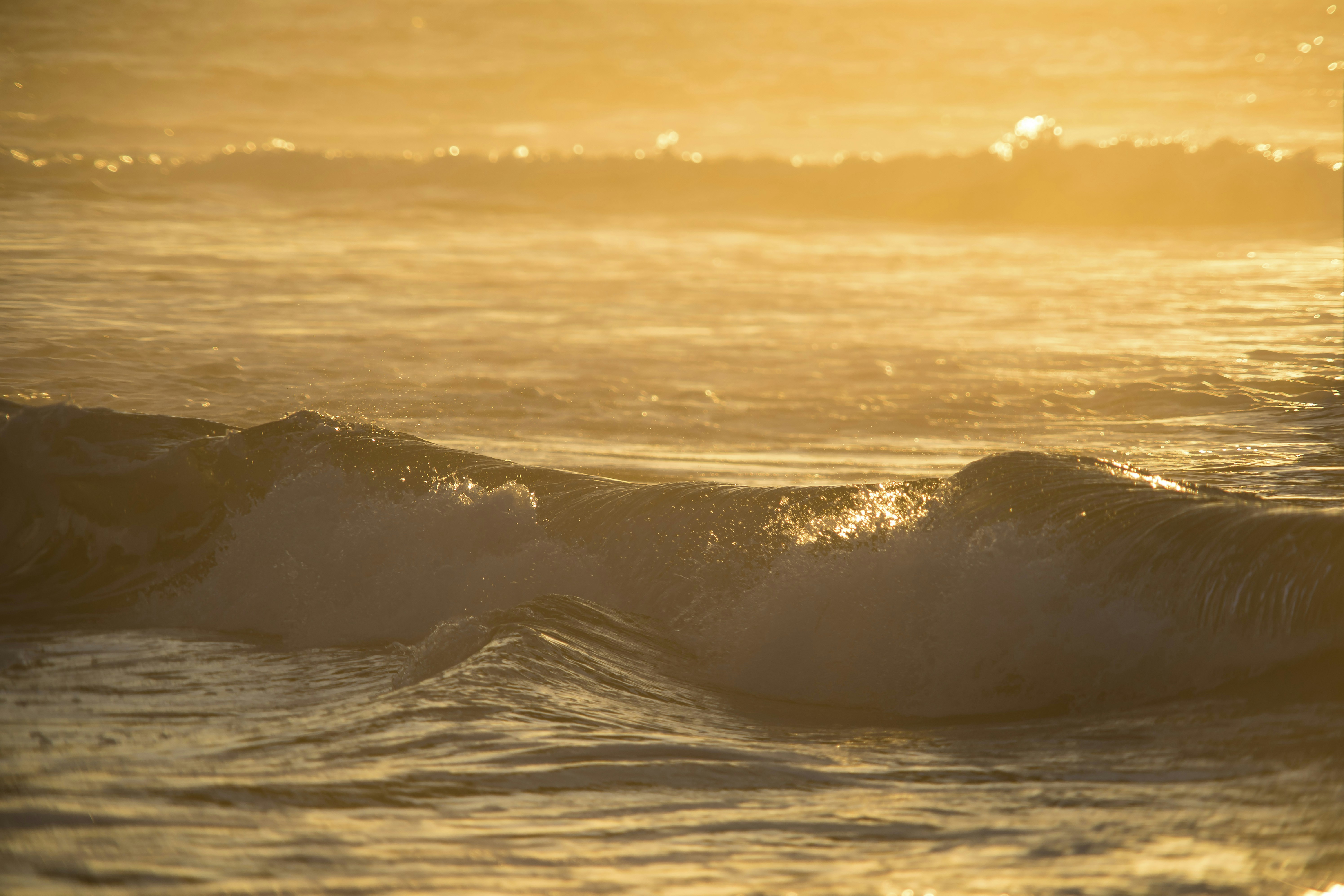 Photo by leo_visions_