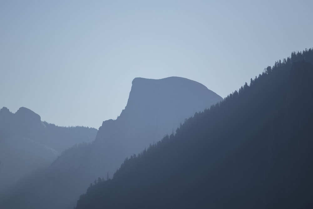 green trees on mountain during foggy day