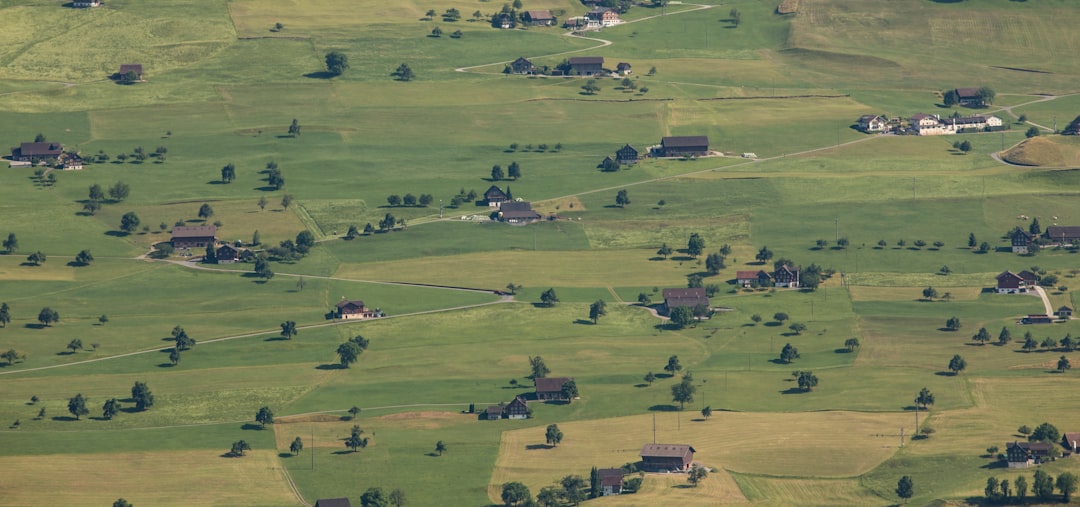 aerial view of green grass field during daytime