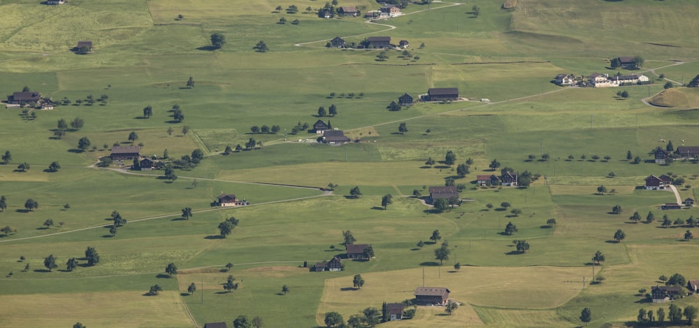 aerial view of green grass field during daytime