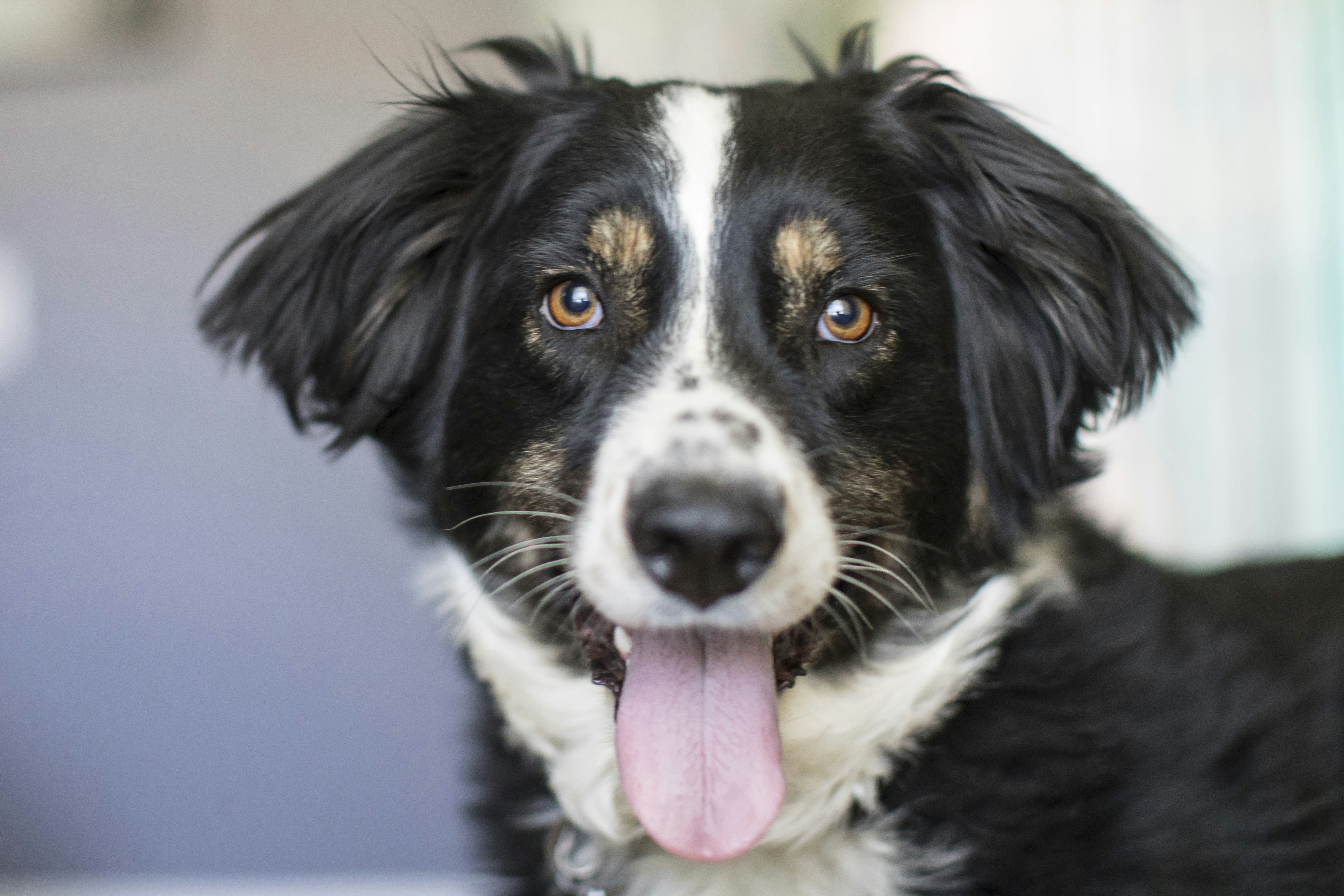 Photo by leo_visions_