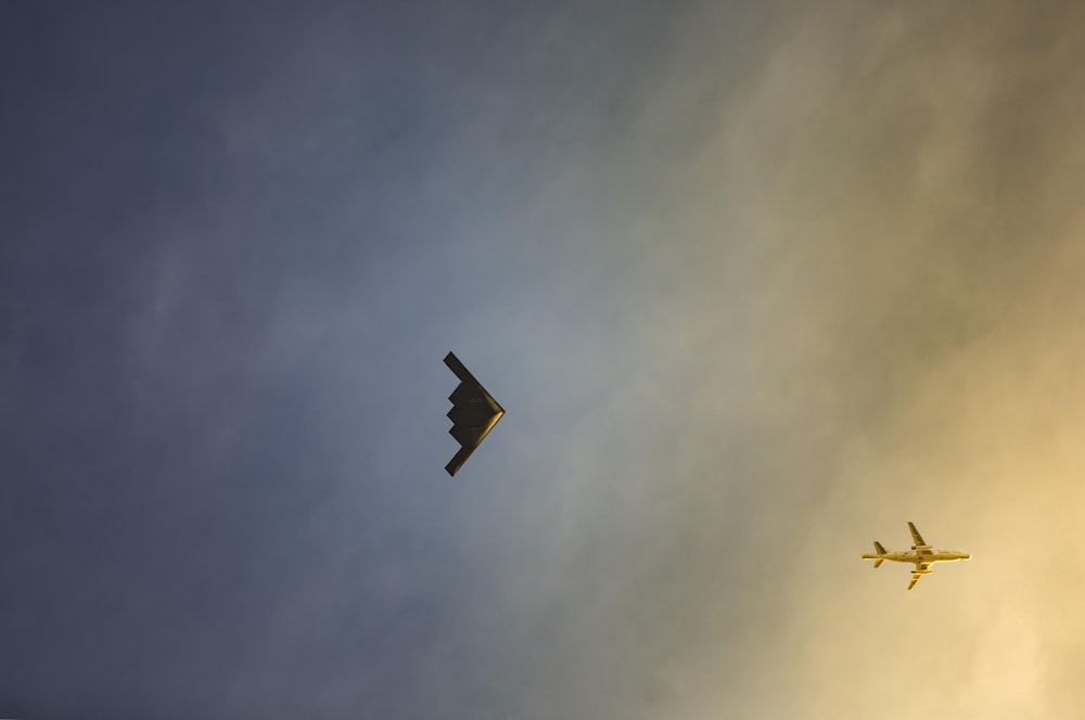 black bird flying on sky during daytime