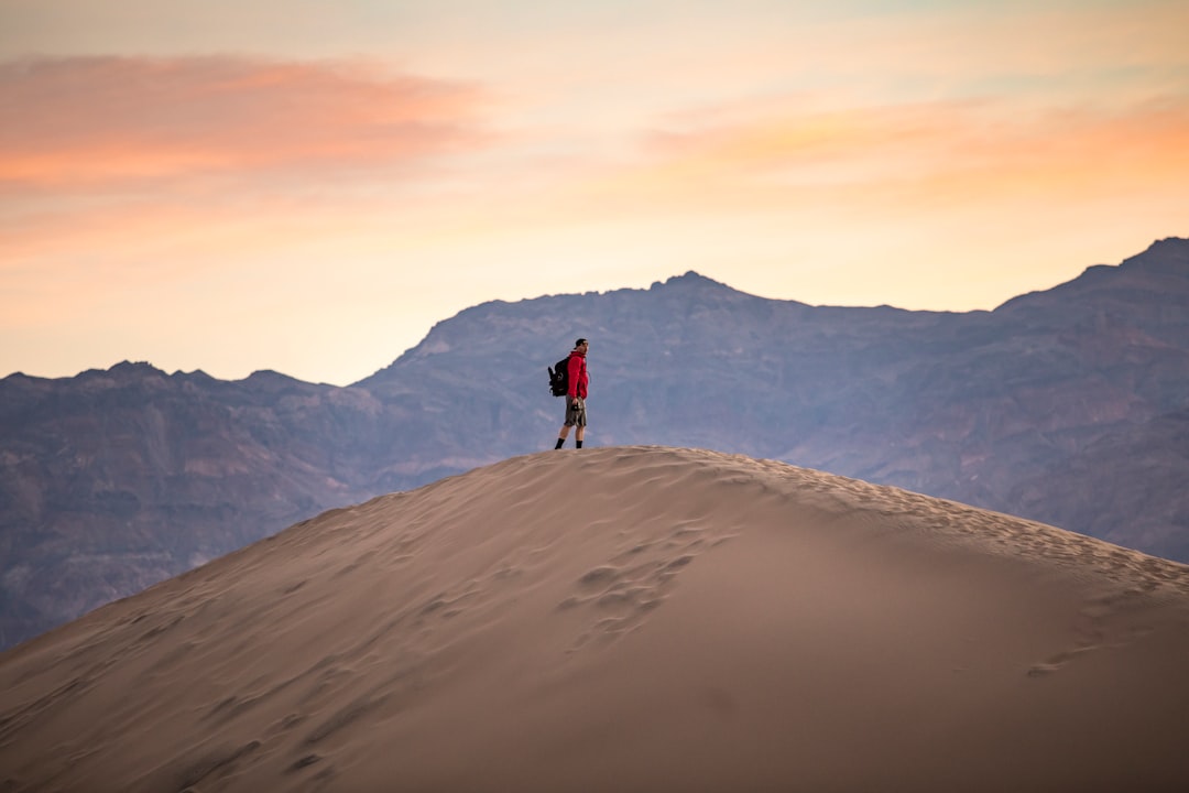 person in red jacket walking on brown sand during daytime