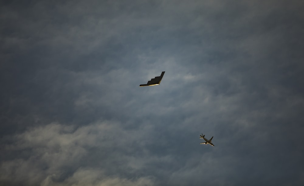 black bird flying under white clouds during daytime