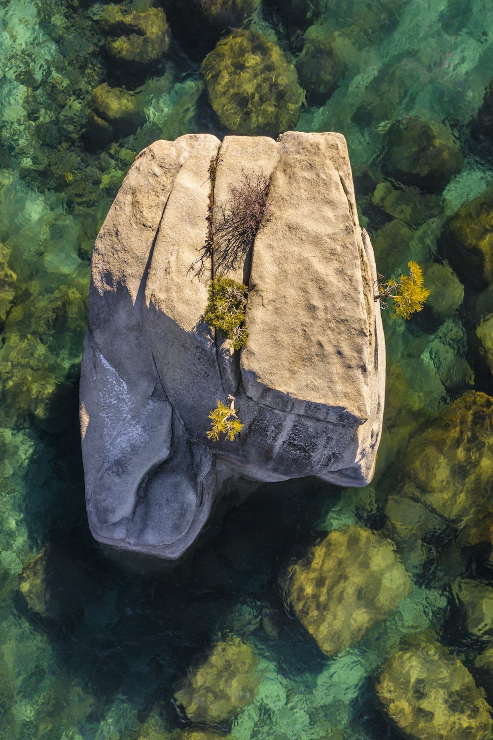 brown rock on body of water