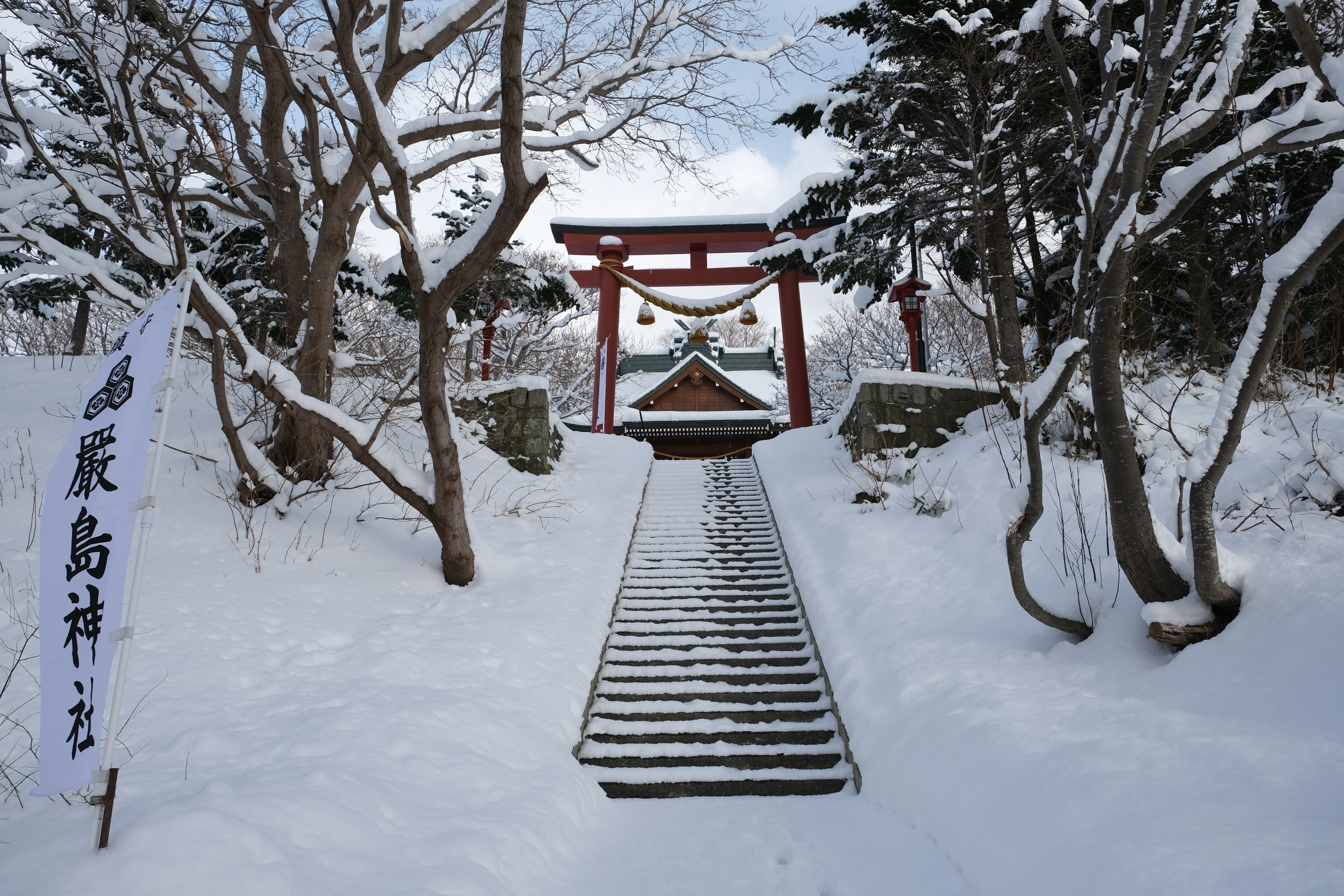 brown wooden bridge covered with snow