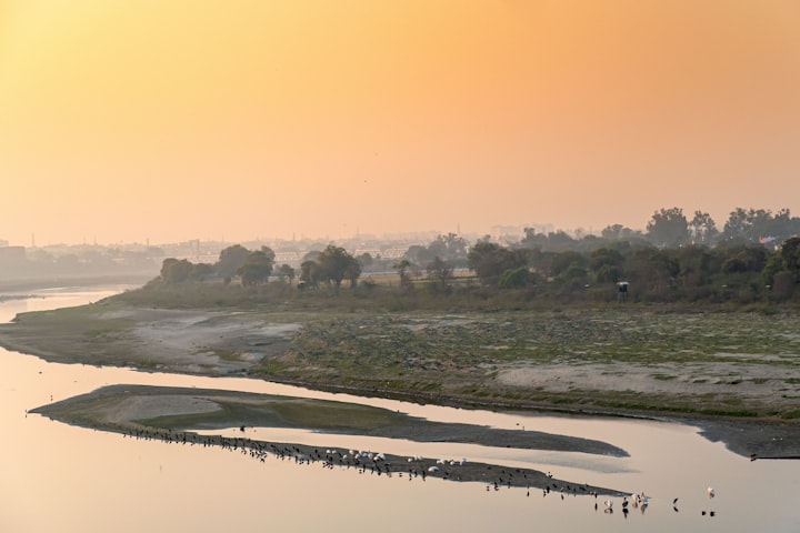 Express View on Yamuna status report: River abandoned