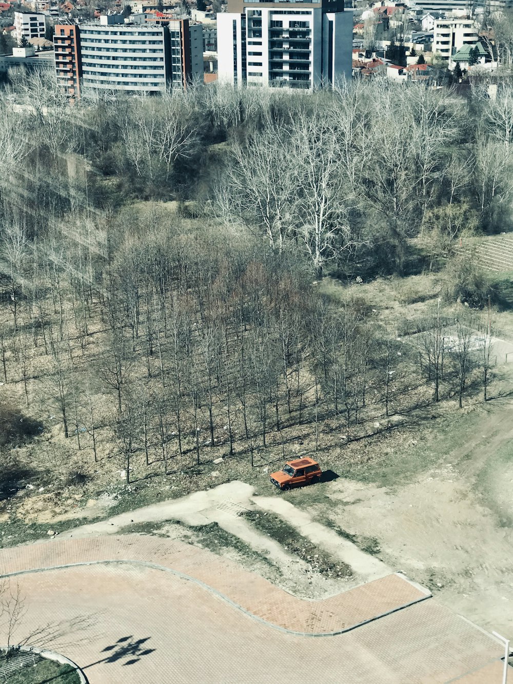 red car on road near trees during daytime