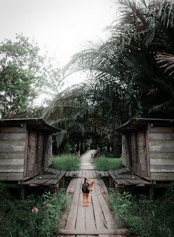 A pathway made of wooden planks extends into the distance, flanked by two rustic wooden huts on either side. In the center of the pathway stands a dog, looking towards the camera. Surrounding the scene are lush, green palm trees and other vegetation, creating a serene and natural environment.