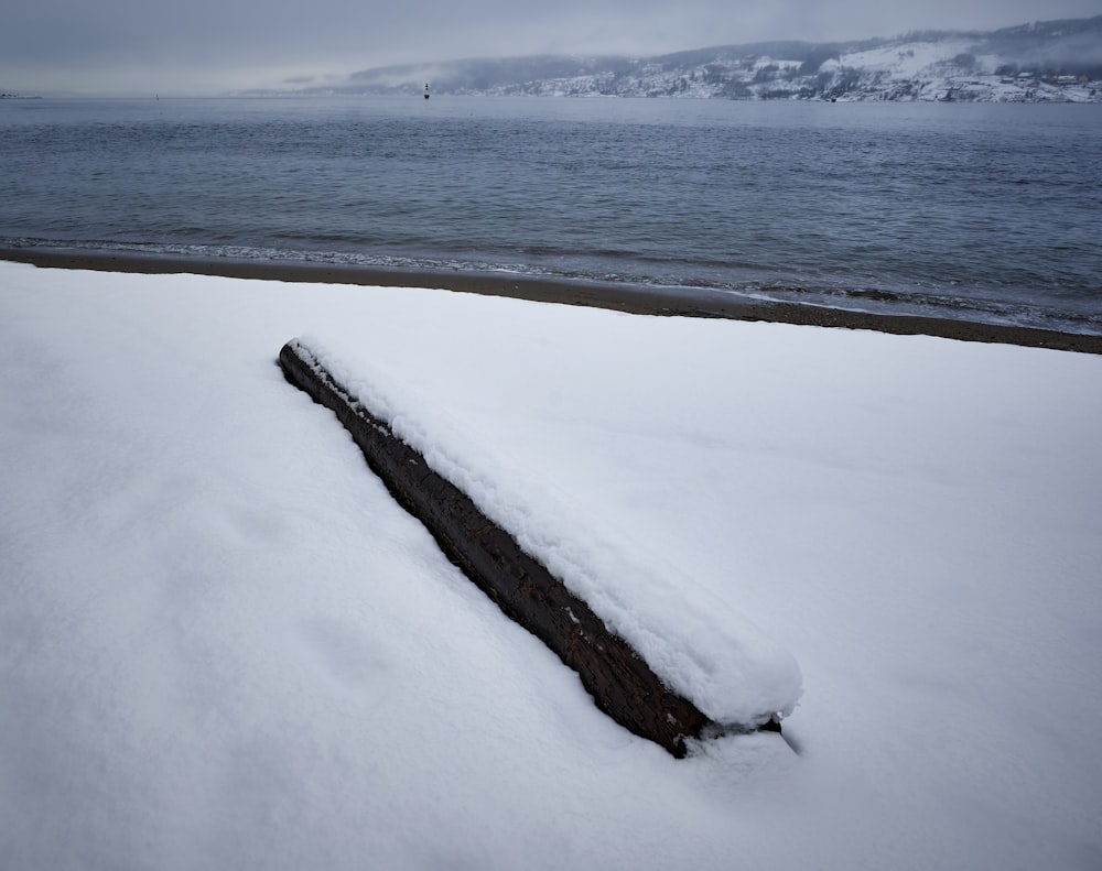 白い雪に覆われた地面に茶色の木の丸太