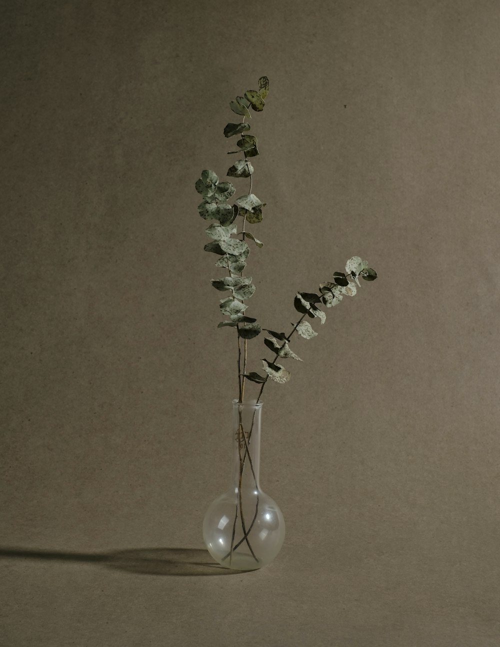 white flowers on clear glass vase