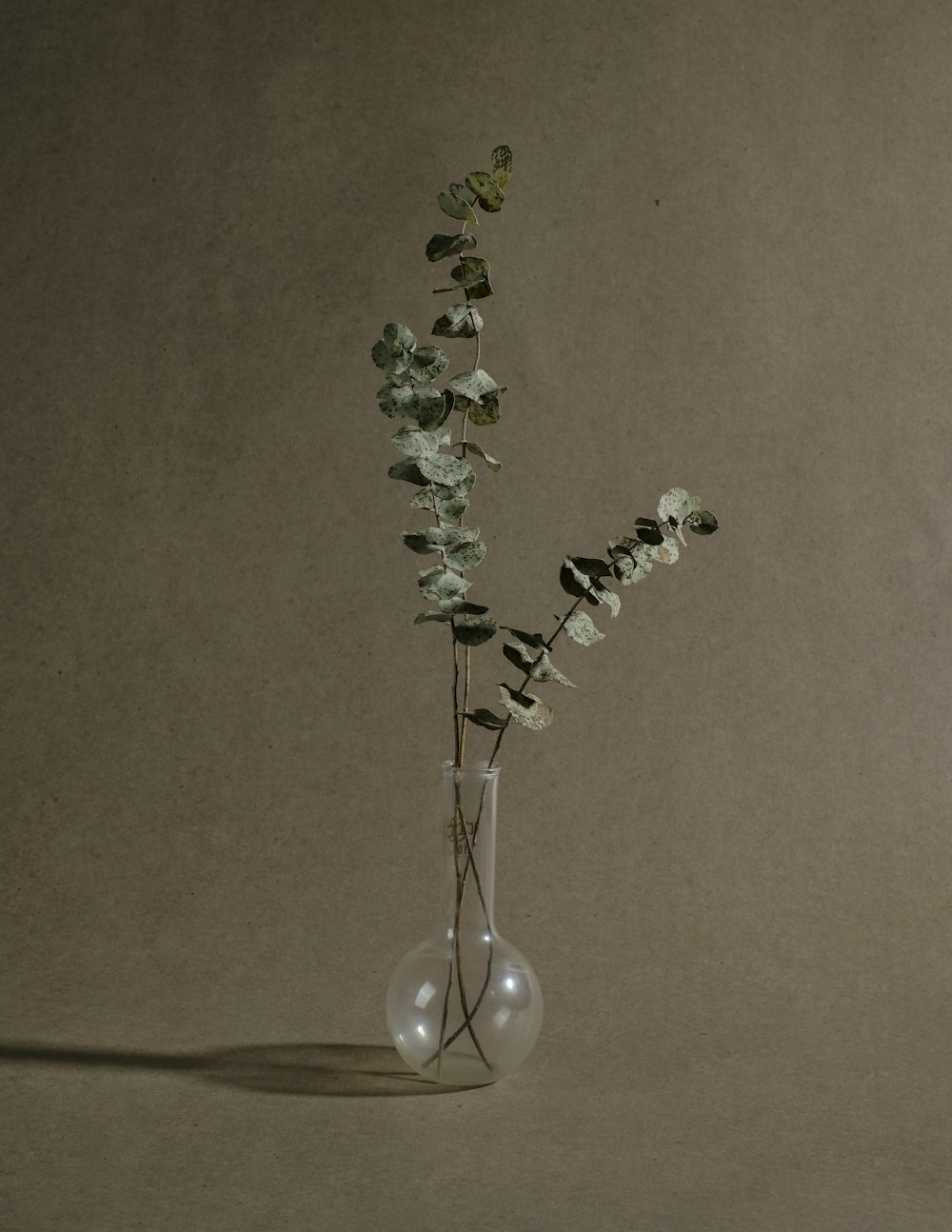 Weiße Blumen auf klarer Glasvase