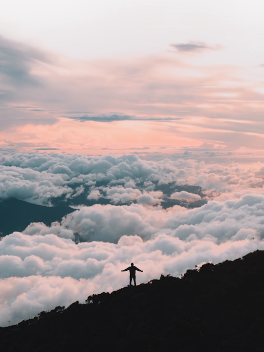 person standing on top of mountain during daytime in Mount Kinabalu Malaysia