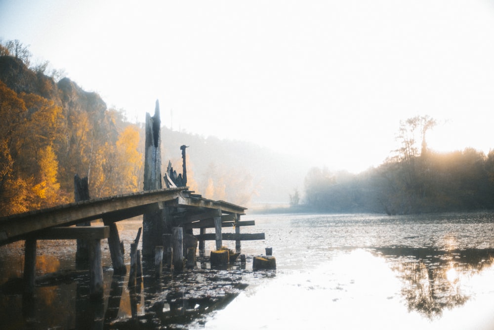 a wooden dock sitting on top of a lake next to a forest