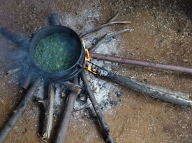 A rustic outdoor cooking setup with a black pot on an open fire made of several wooden logs arranged in a star pattern. The pot contains a green leafy mixture that is being cooked. The surrounding ground is covered with ash and soil.