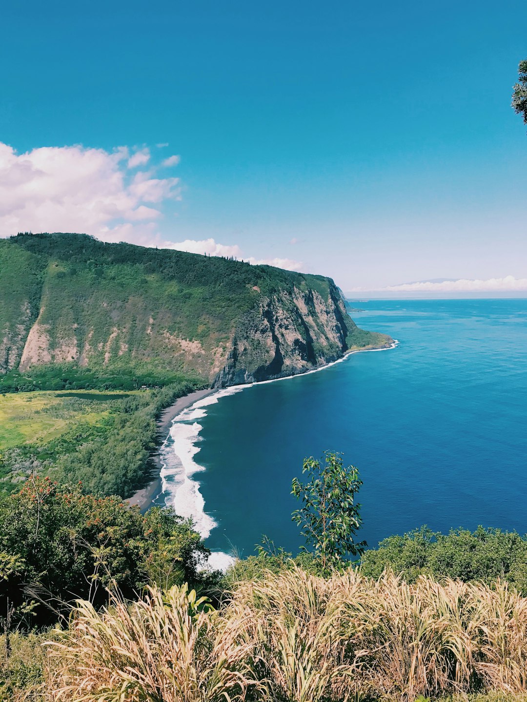 travelers stories about Cliff in Waipi’o Valley Lookout, United States