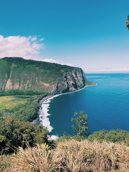 green mountain beside blue sea under blue sky during daytime in Waipio Valley United States