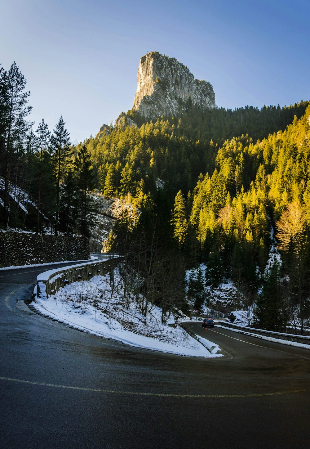 gray asphalt road between green trees during daytime