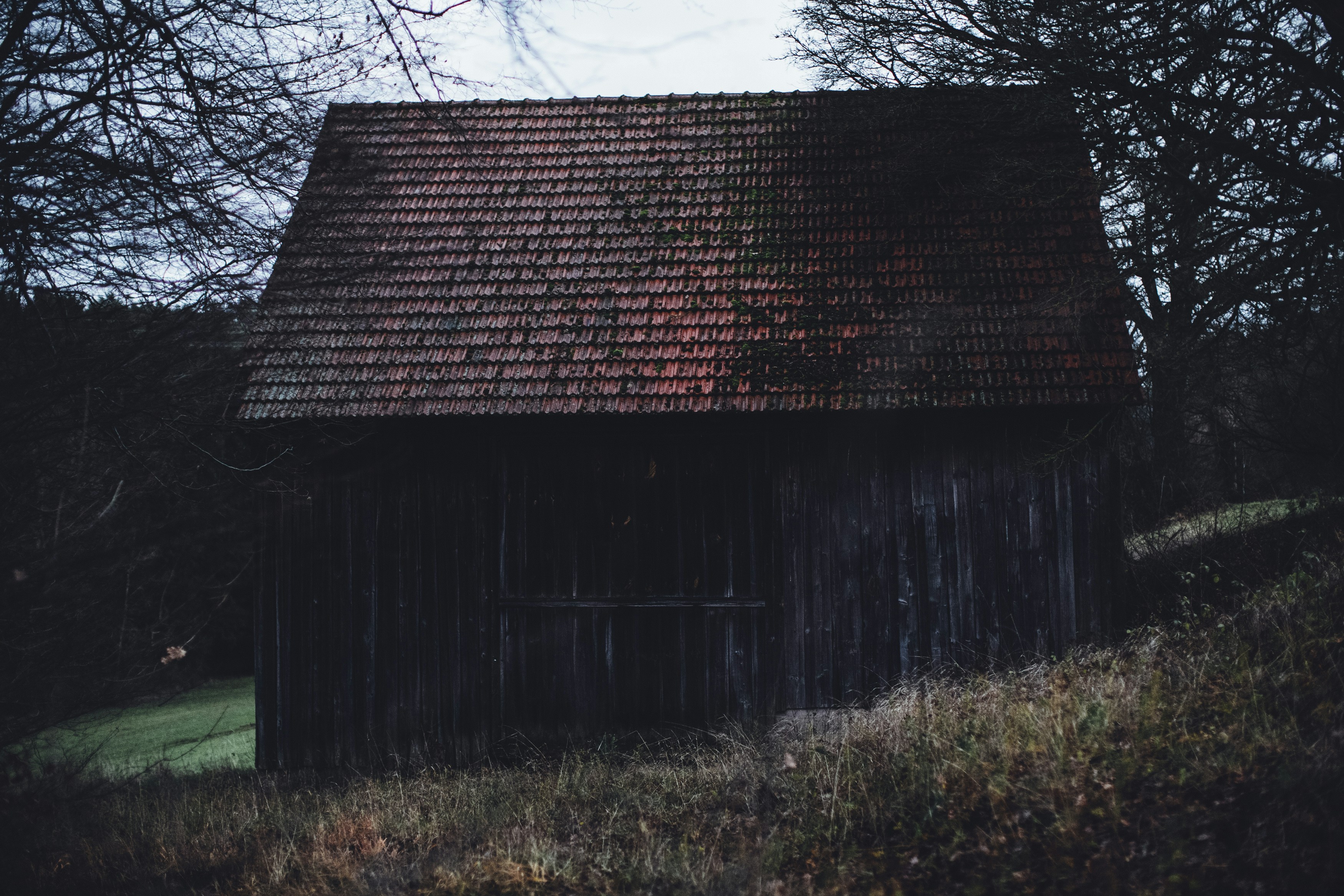 Photo by markusspiske