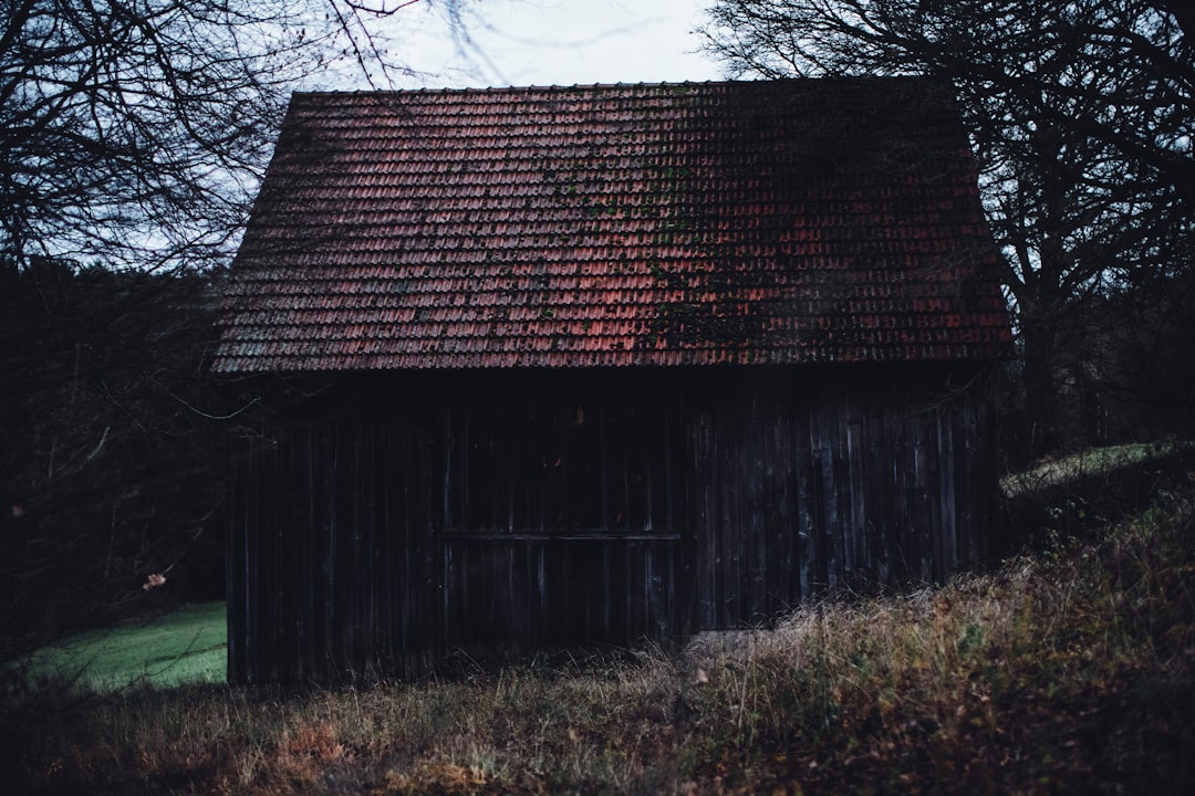 brown wooden house near bare trees during daytime