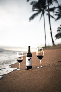 A vibrant wine tasting setup with glasses and bottles against a coastal backdrop.