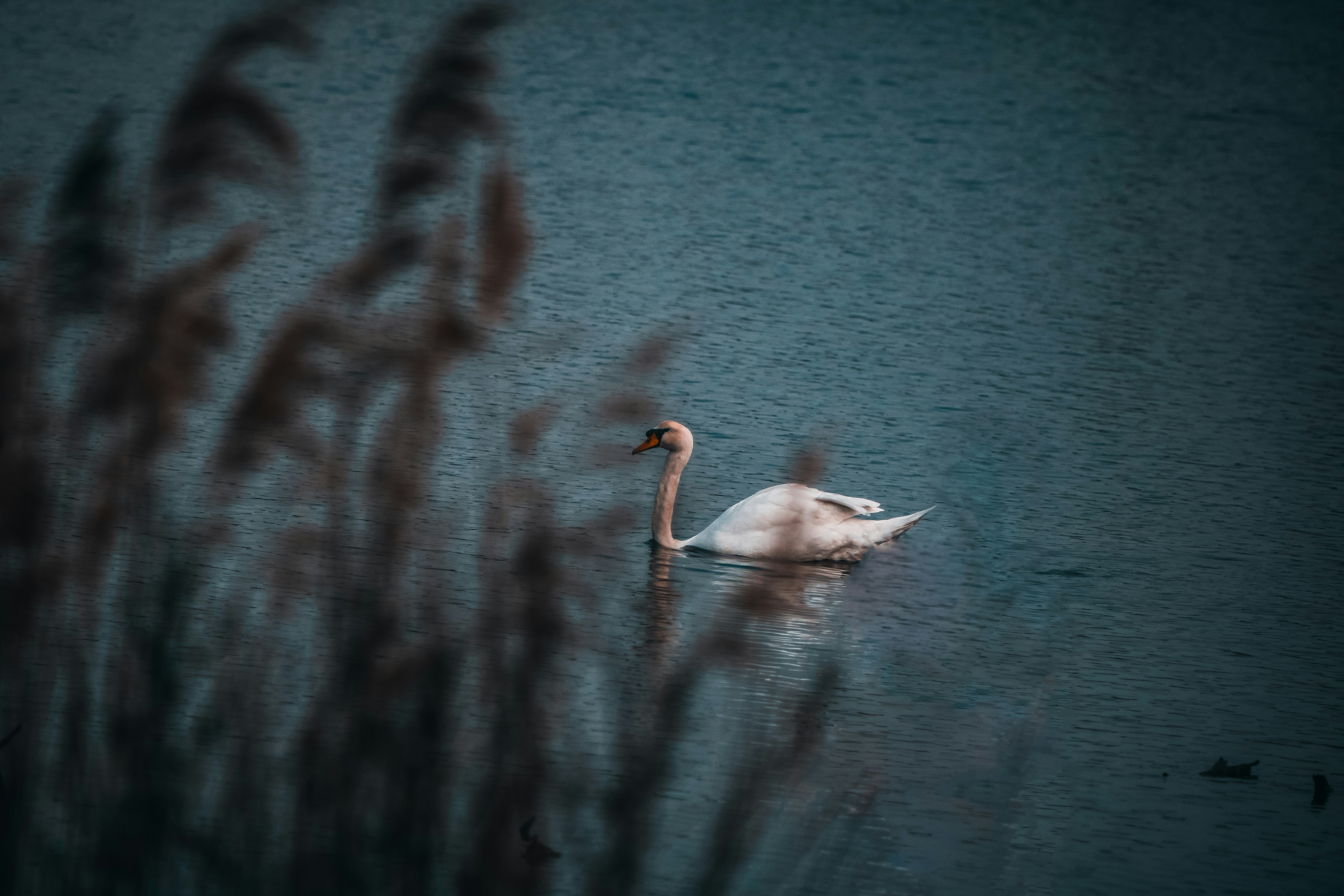 Photo by clement_roy