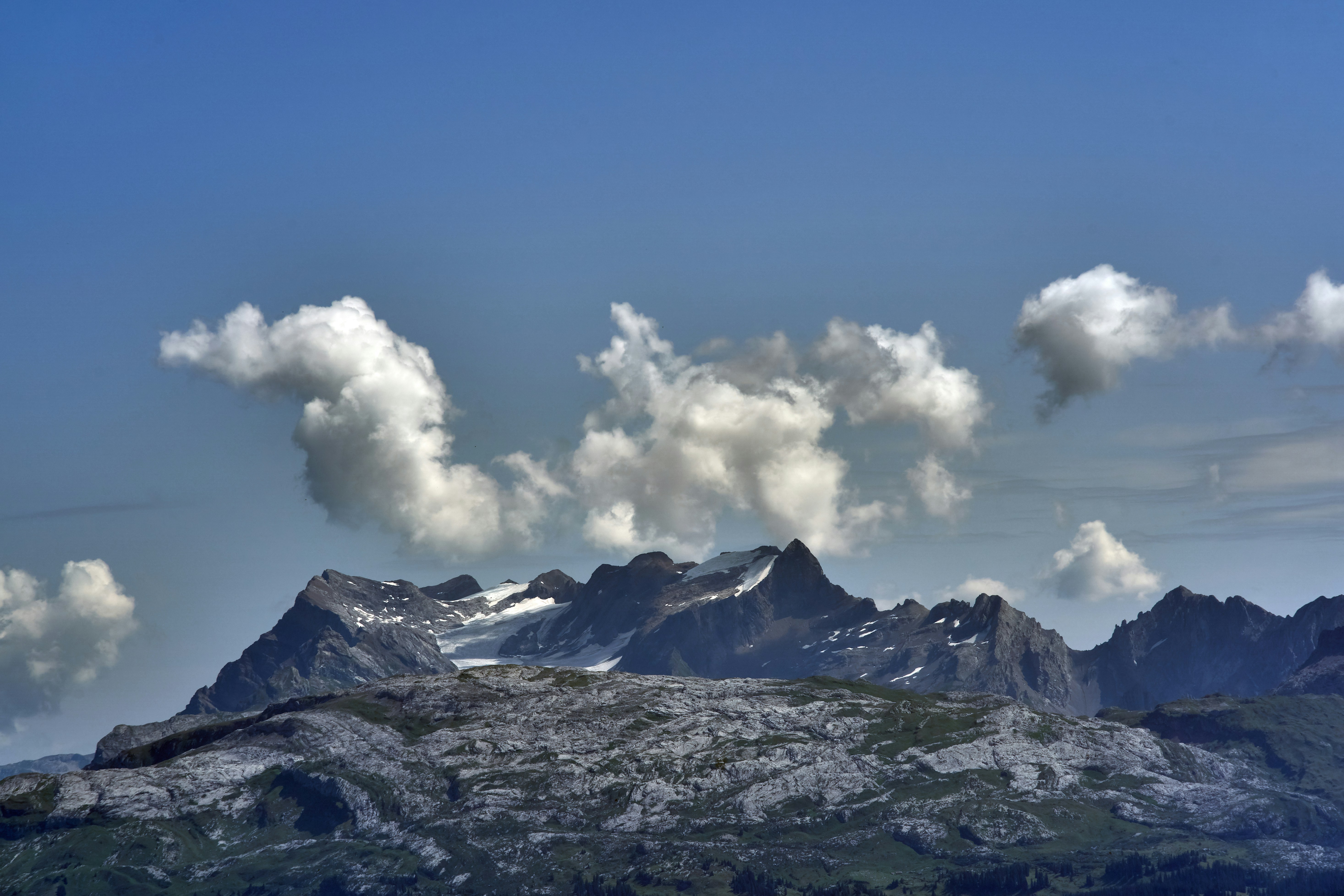 Photo by wolfgang_hasselmann