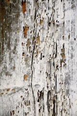 A close-up view of an old, weathered wooden surface with extensive damage and decay. The wood displays numerous holes and wear, indicating age and possible insect infestation or natural erosion.