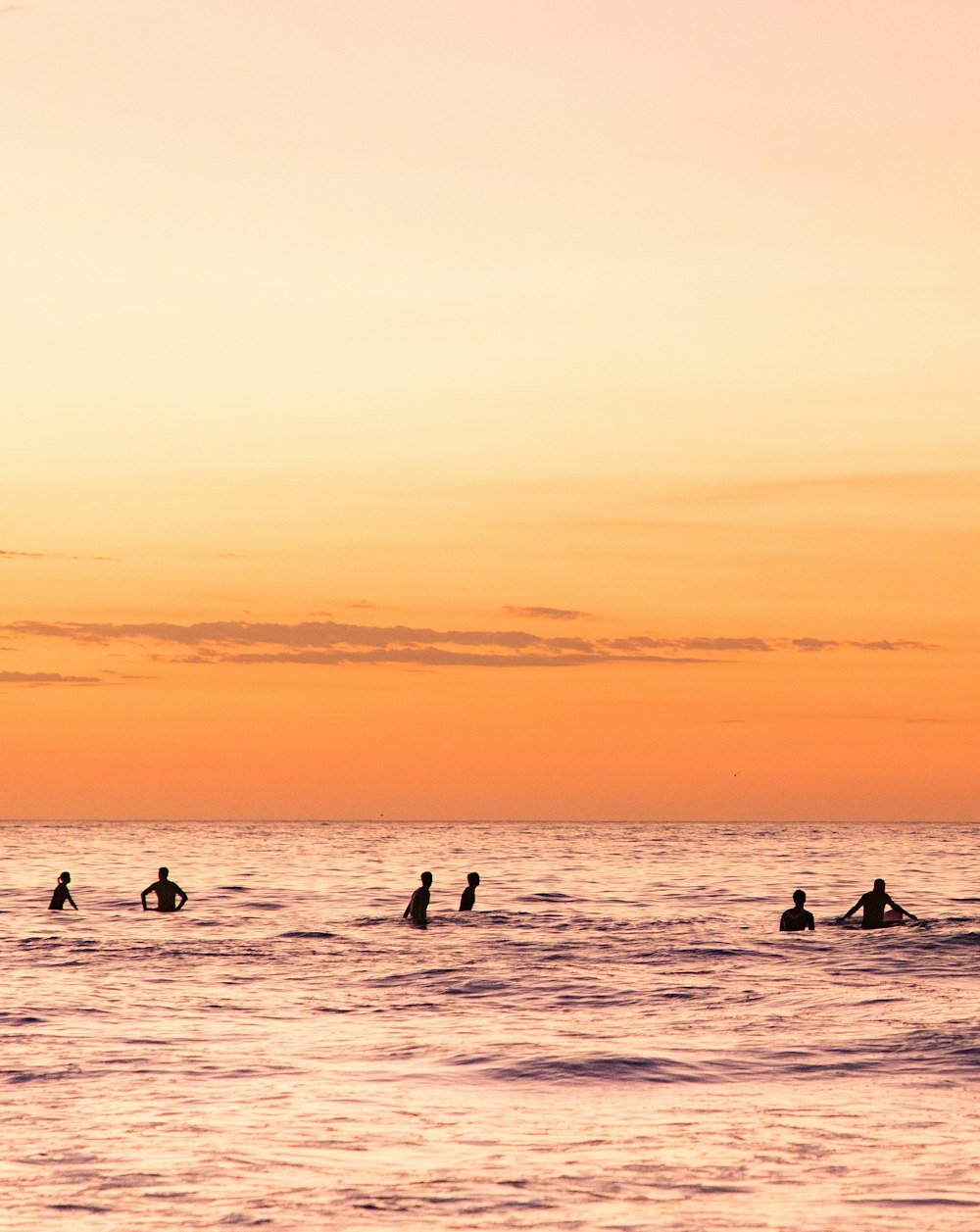 silhouette of people on beach during sunset