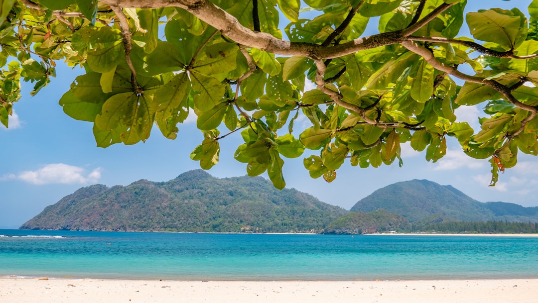 Sun, Sand, and Surf