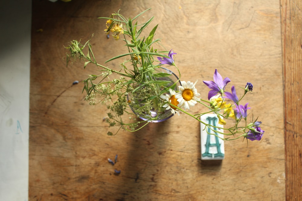 purple and yellow flowers in clear glass vase