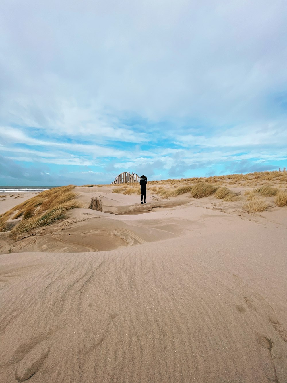 person walking on sand near beach during daytime