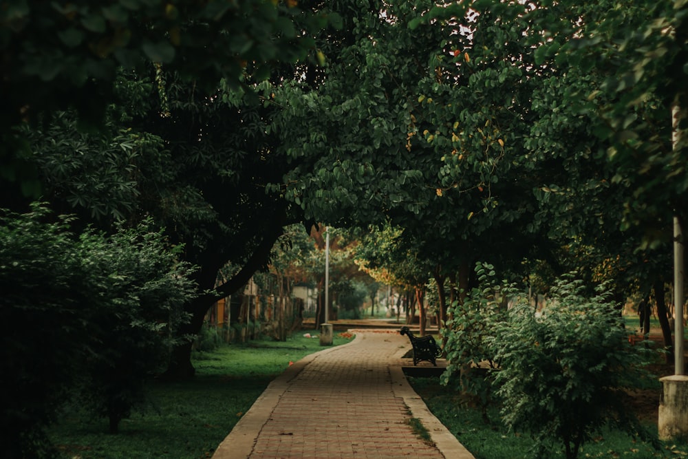 Camino de madera marrón entre la hierba verde y los árboles durante el día