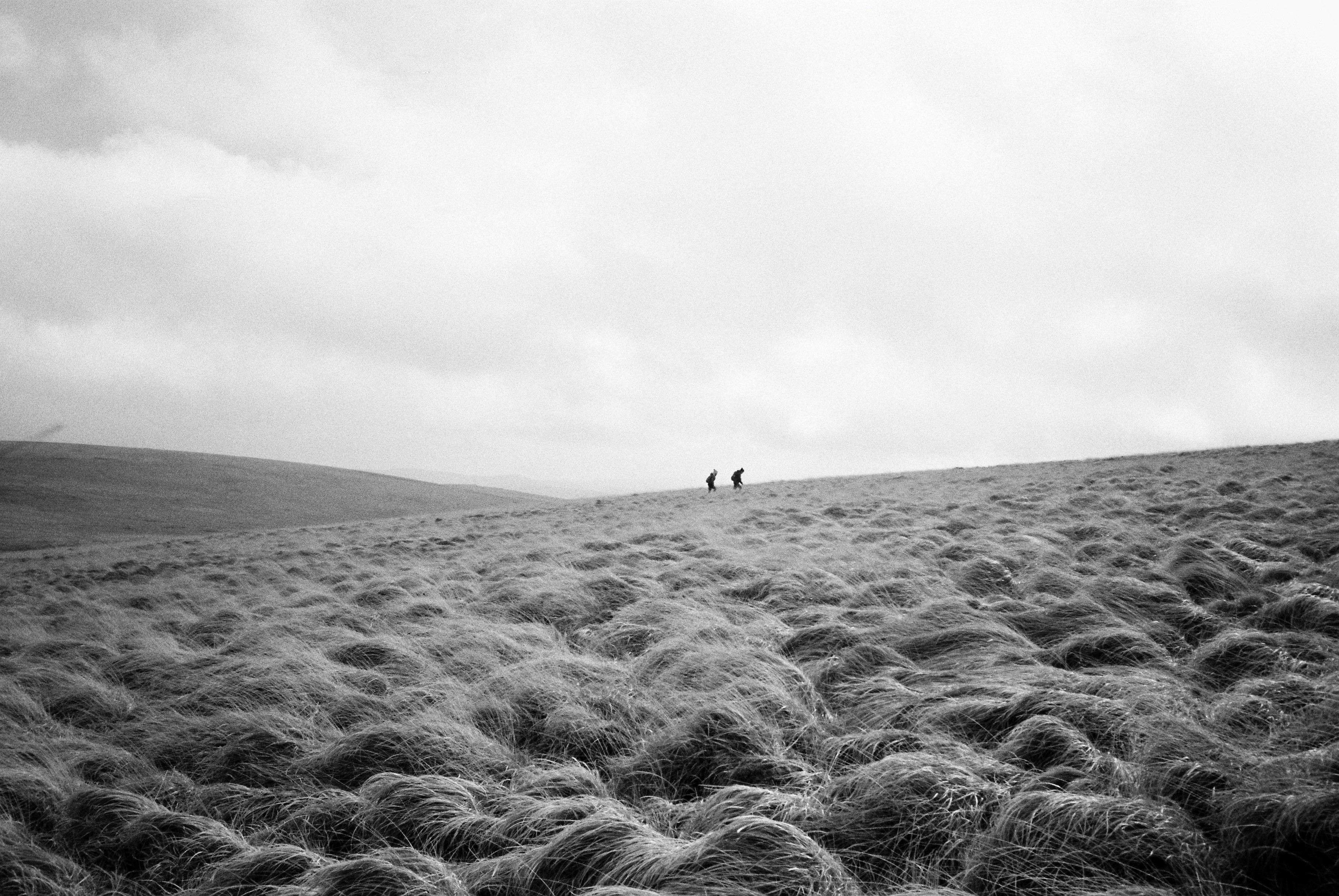 Photo by tomasrobertson