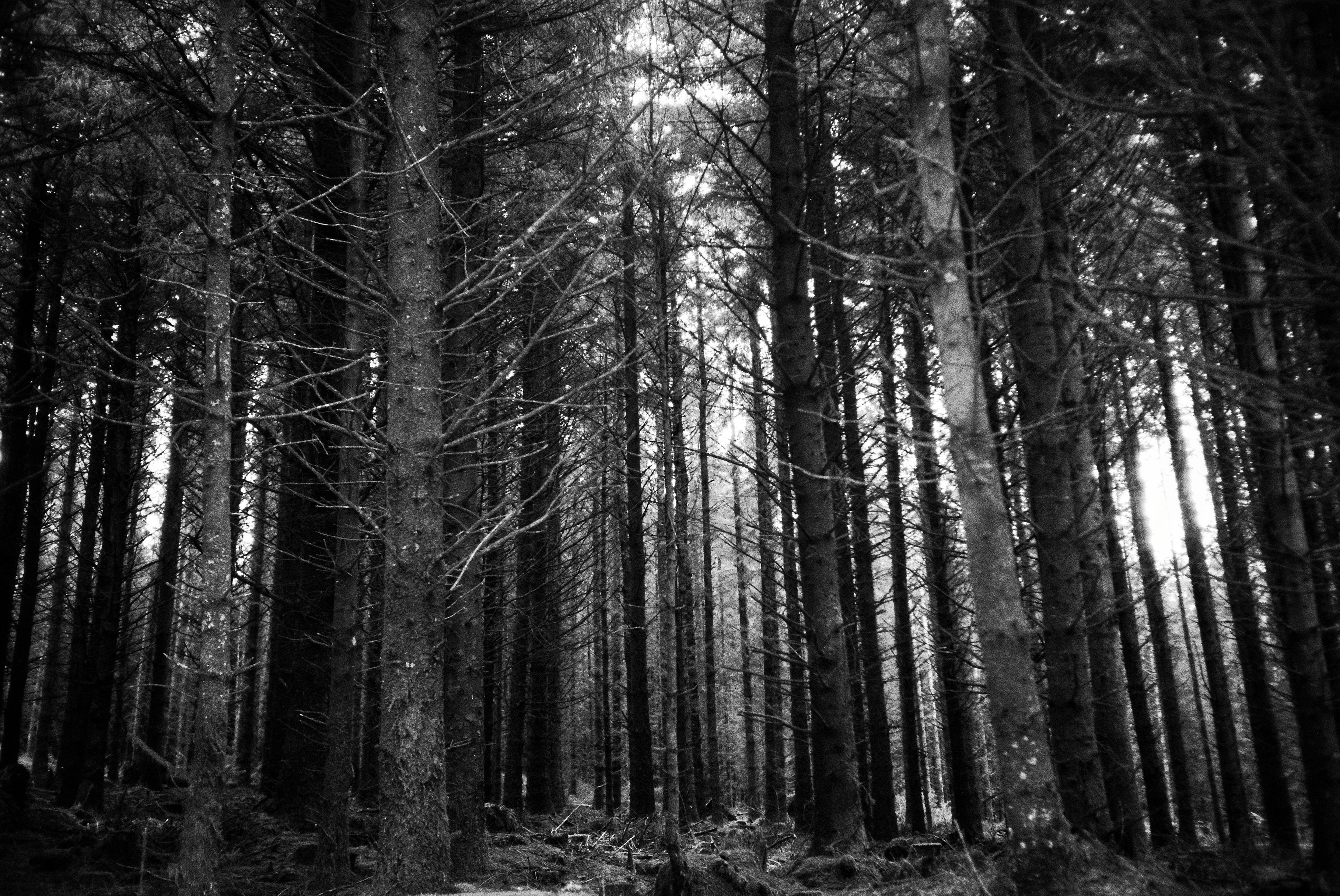 Photo by tomasrobertson