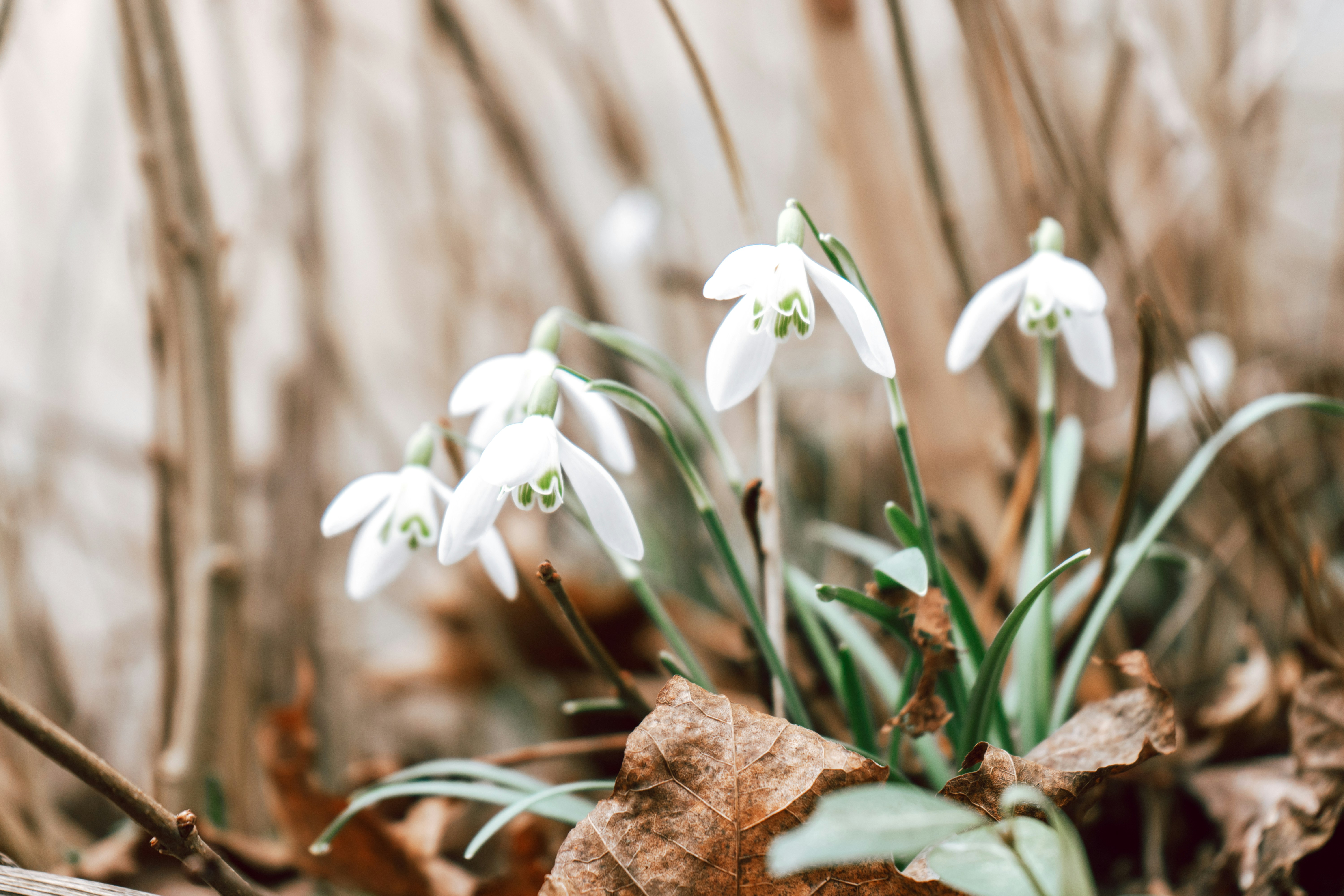 Photo by julianhochgesang